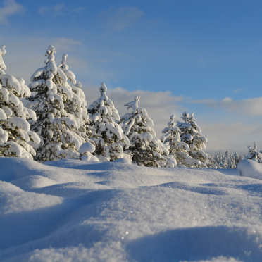 Are You Wintering?