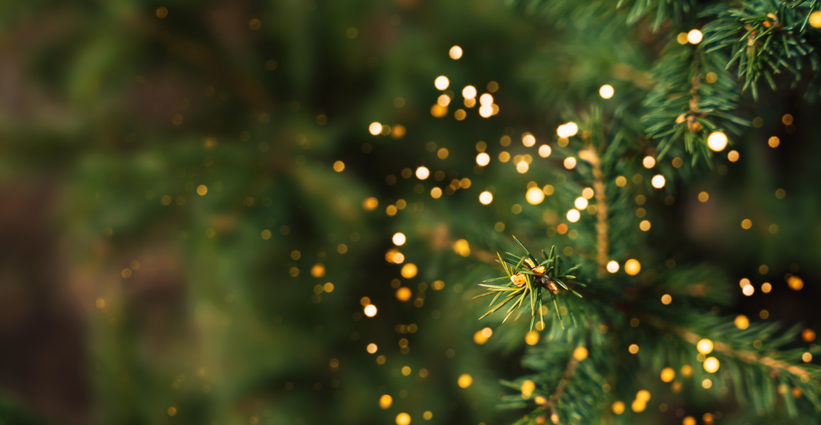 December Glimmers