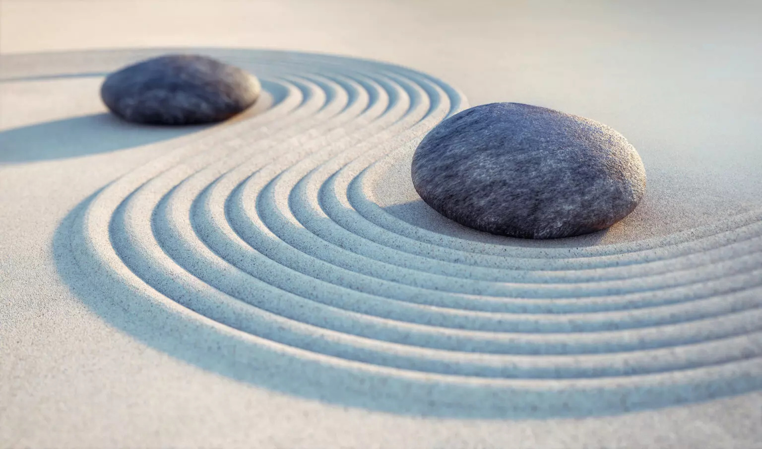 Embracing Mindful Existence