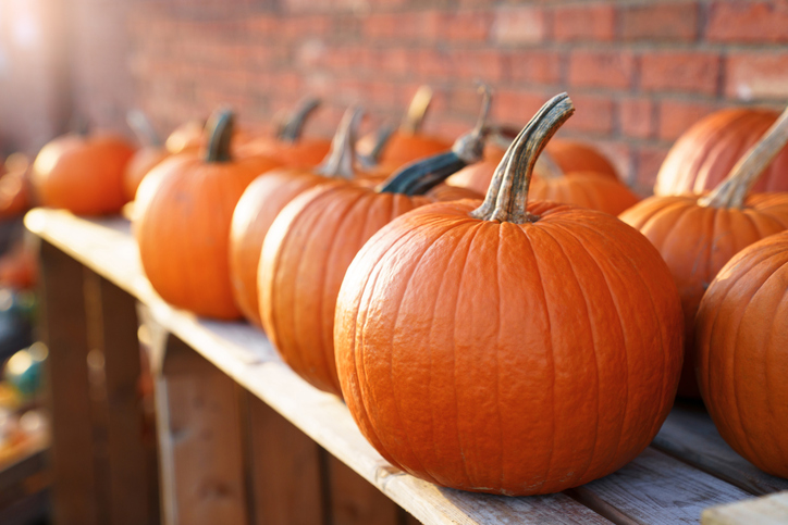 Happy (Mindful) Halloween
