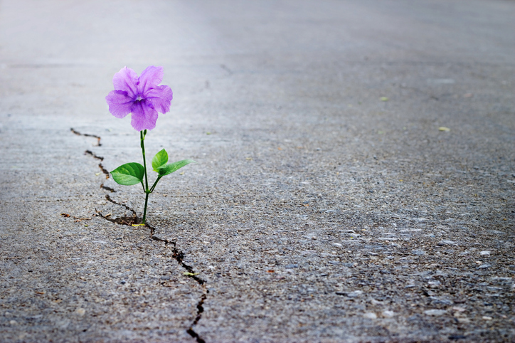 Here’s to Hope