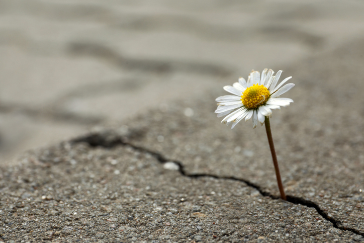 Hope