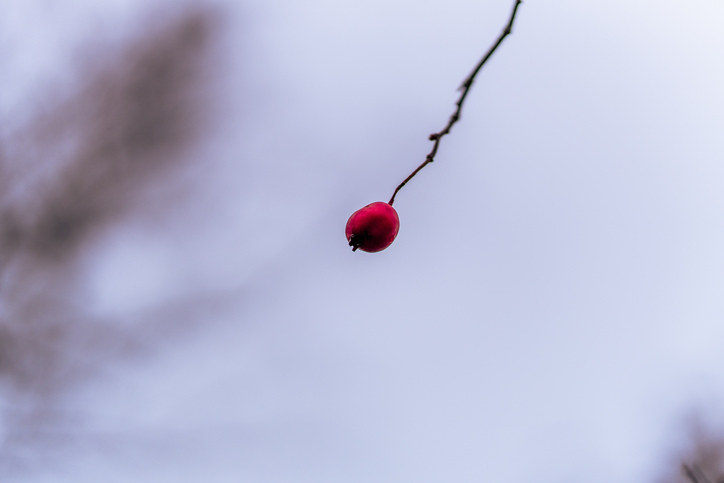 Living the Both/And | A Yogic Practice of Wholeness
