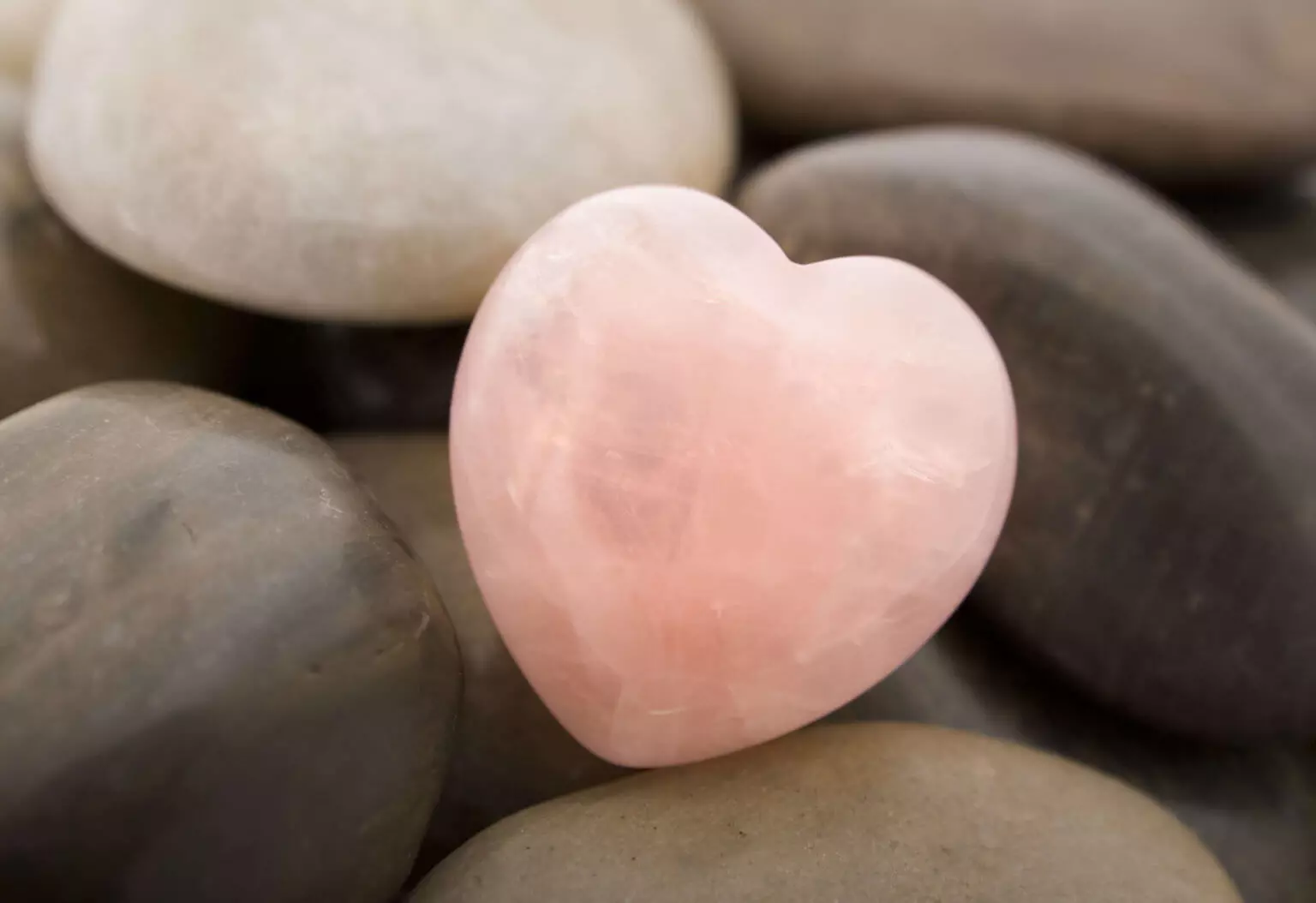 Open Your Heart