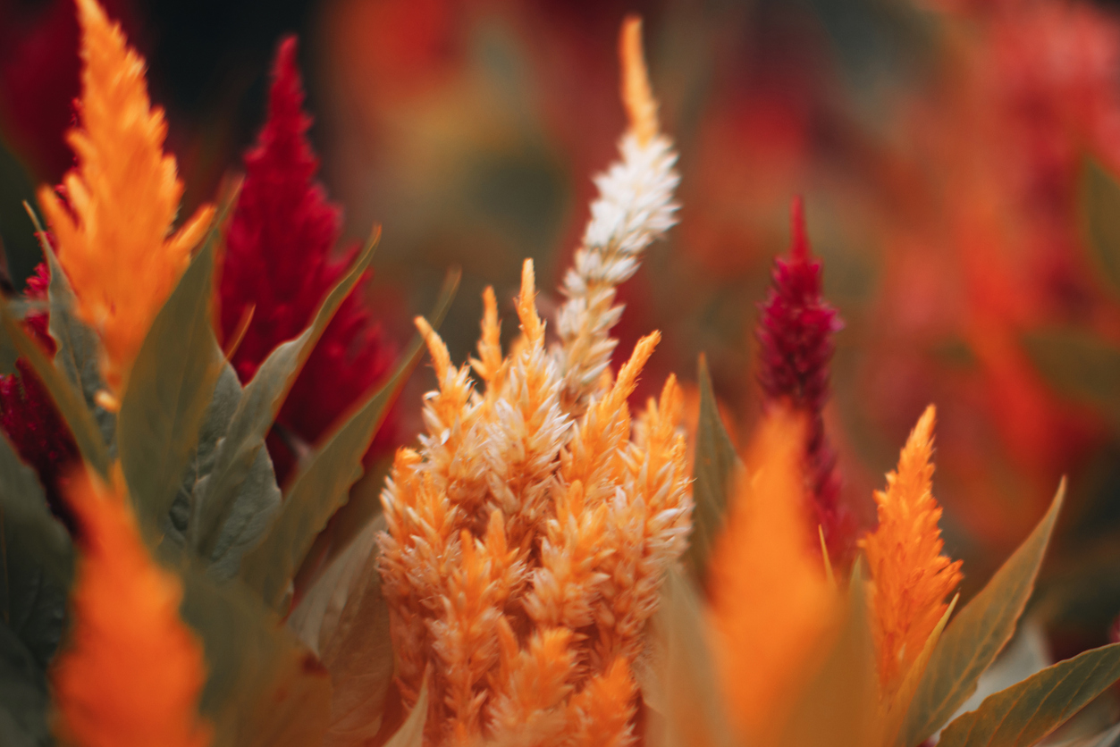 Slow Down, Soften, and Welcome Autumn
