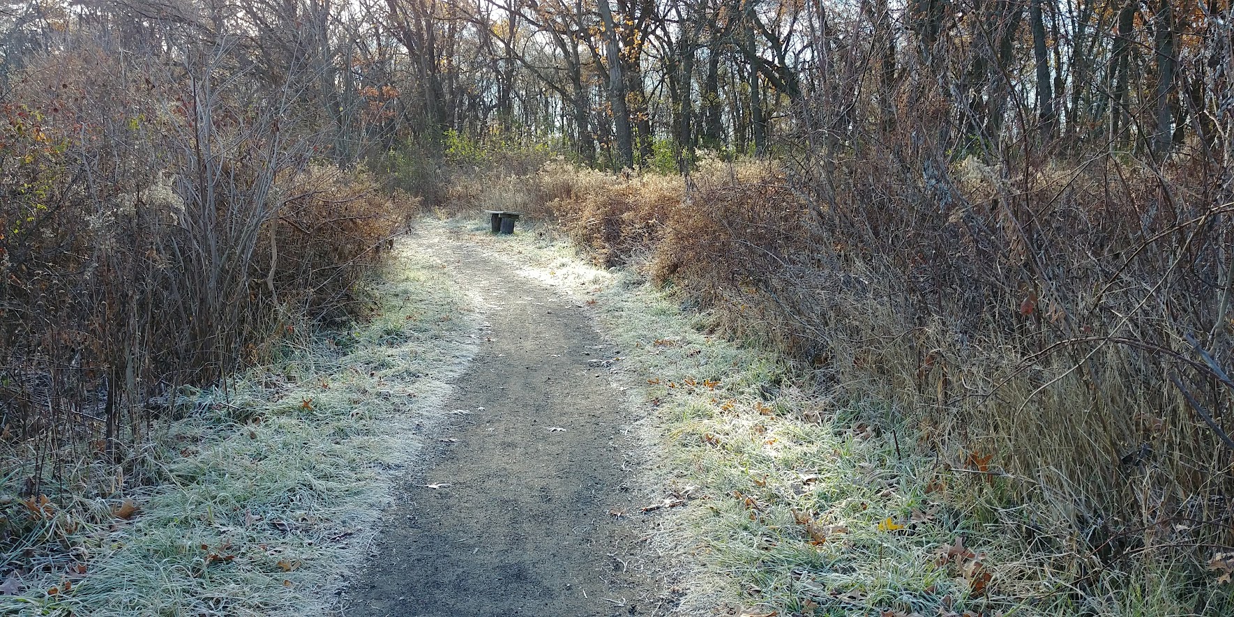 Take a Walk