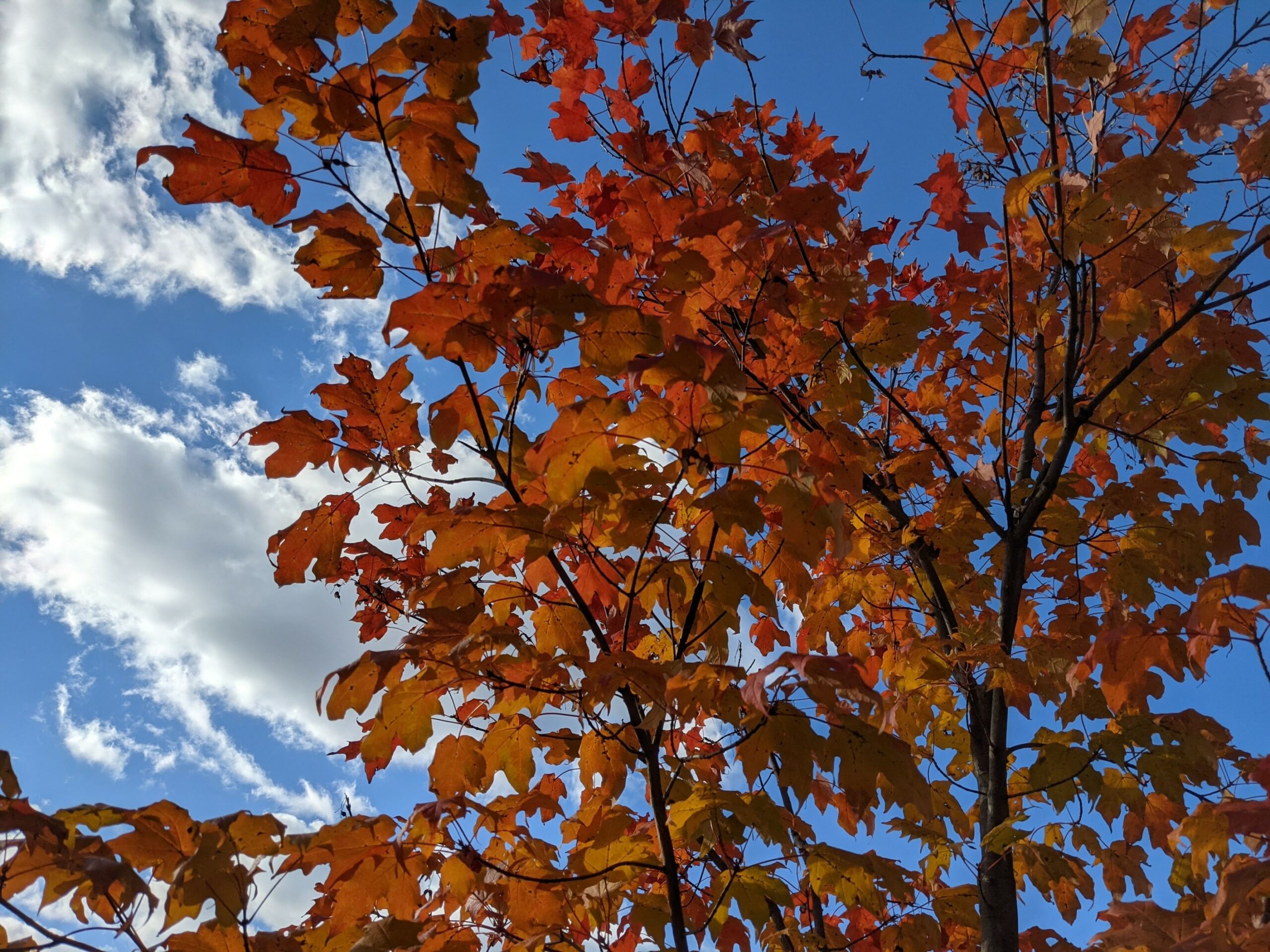 The Rhythm of the Season