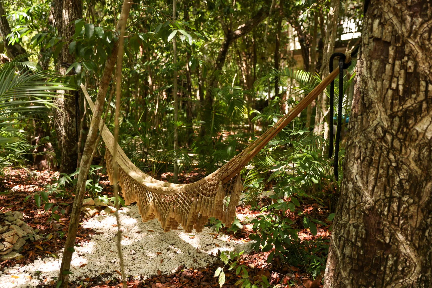 A woven hammock strung between trees at Kaaba Luum
