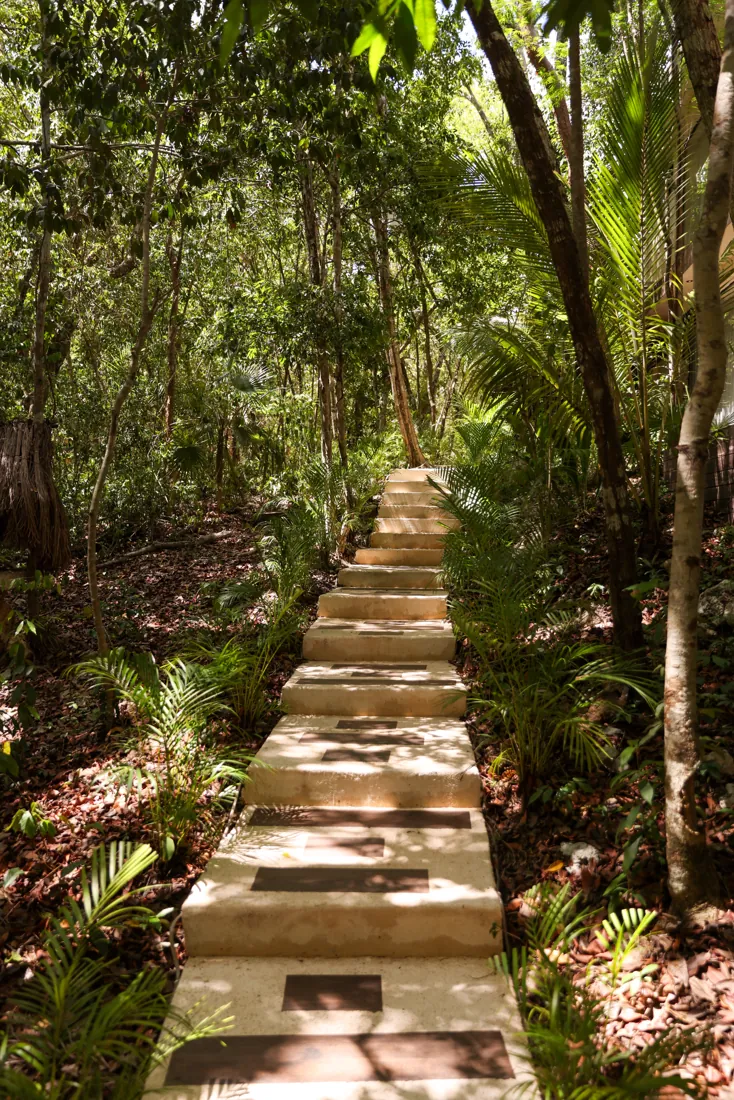 A stone path winding through the jungle at Kaaba Luum