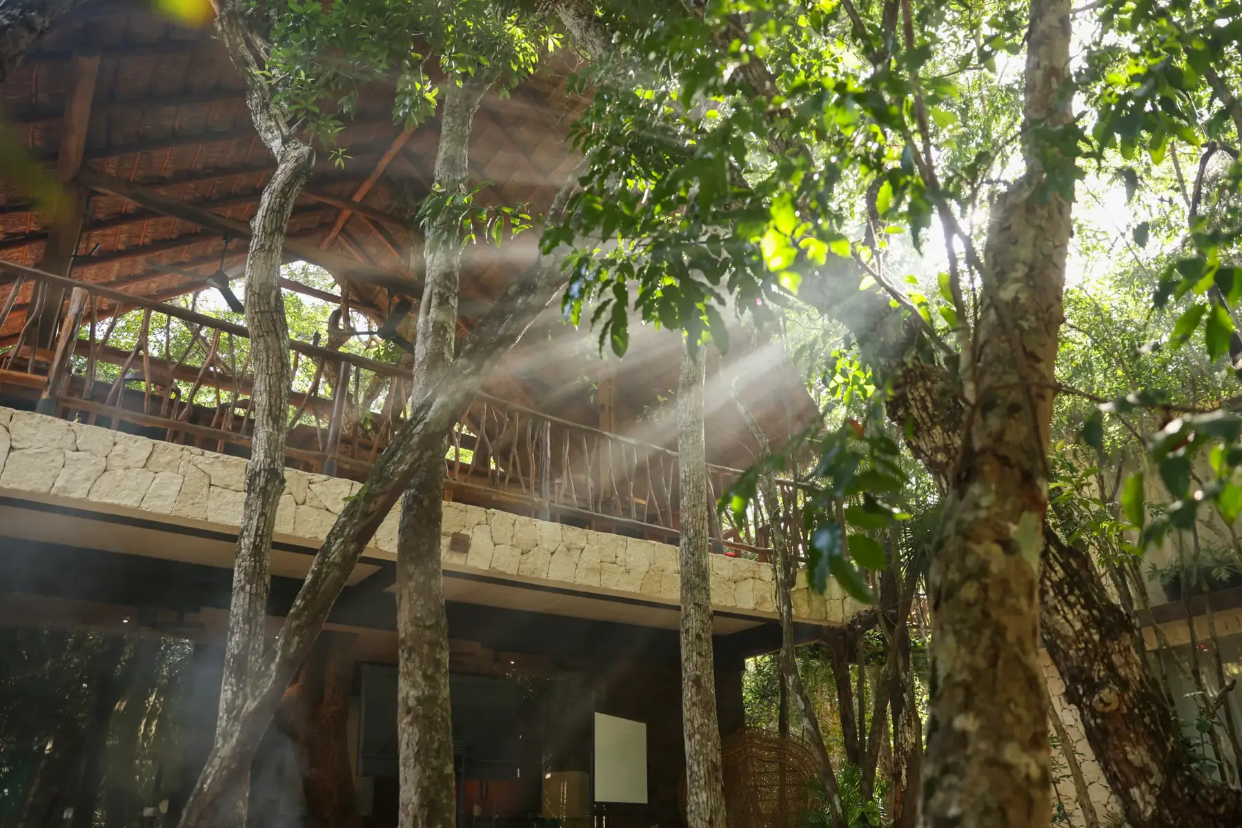 Sunlight streaming through the trees onto Kaaba Luum's raised wooden villas